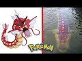 15 Pokemon Characters Caught In Real Life!