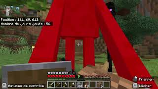 Minecraft survie Part 29