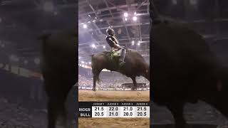Bull Riding ✅ Running ❌ screenshot 1