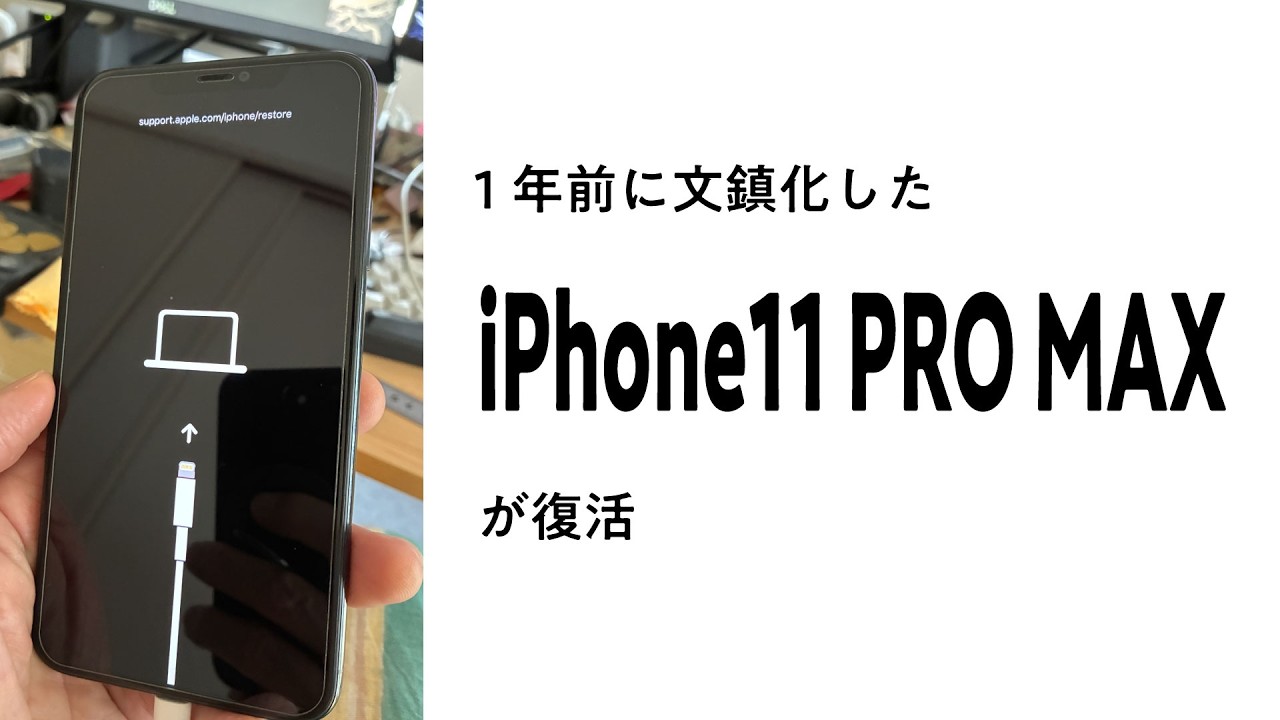 文鎮化iPhone11 Pro MAX 救出成功！ - YouTube
