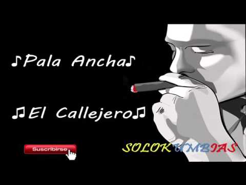 Ver video de Callejero