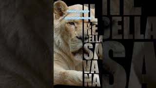Testo trasparente con Photoshop, Photoshop effetti particolari