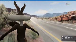 Coyote test