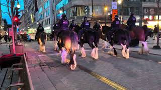 SPVM Cavalry Follows May Day Workers Rights Protesters In Montreal Illegal Friday May 1st 2026 R