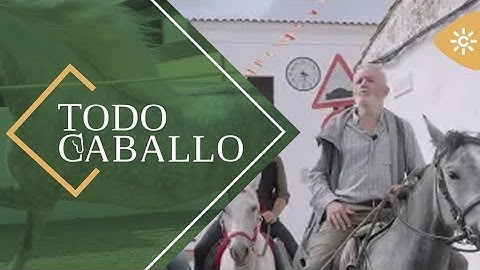 Todo Caballo | Ocho mil kilómetros a caballo desde Huelva a La Meca