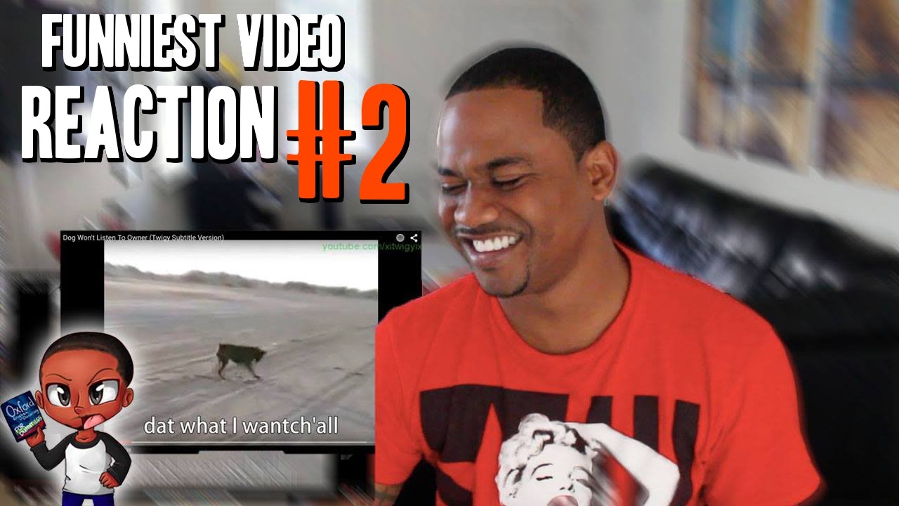 dumbest fails on the internet FUNNIEST VIDEO EVER | Reaction #2 (Dog Don't Listen)