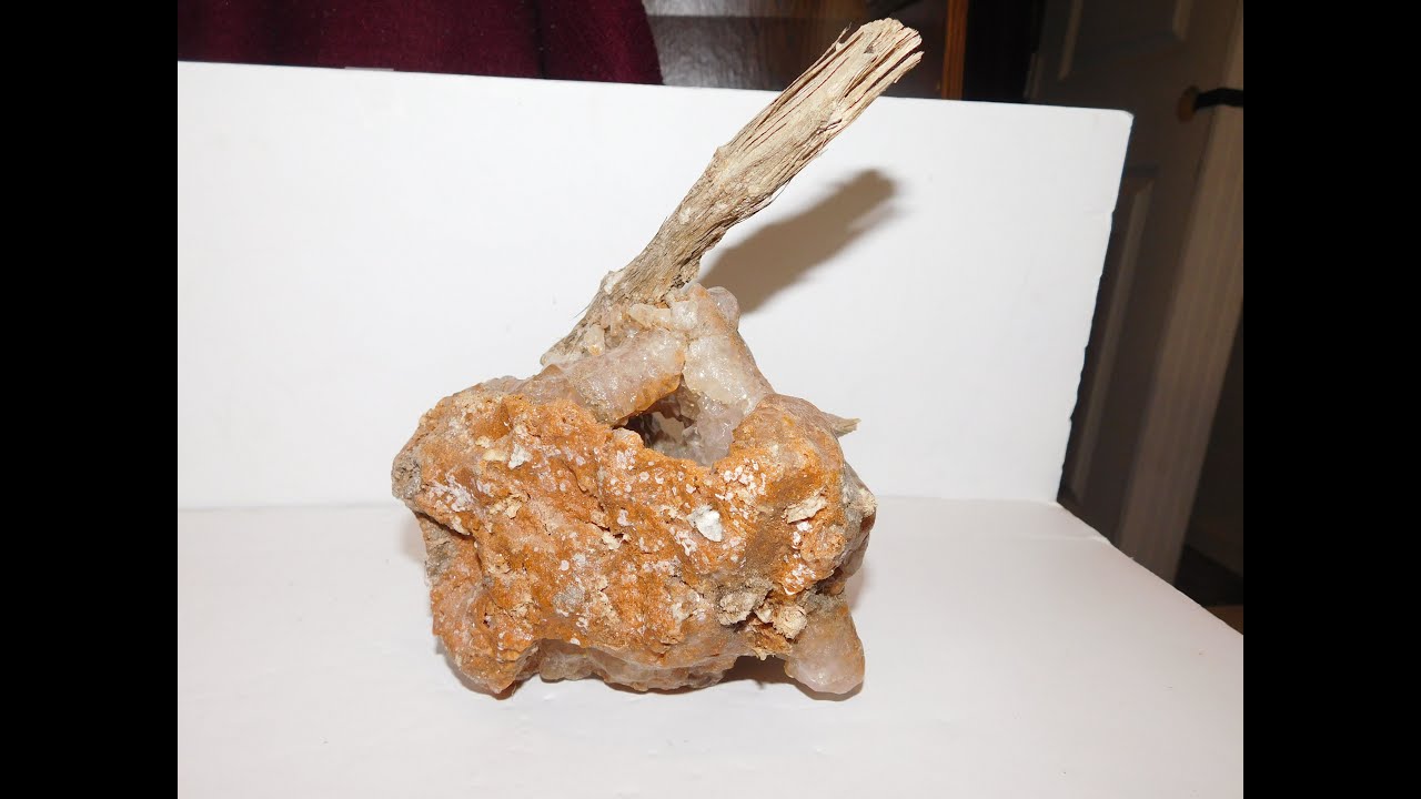 CRYSTAL HALITE (SALT CRYSTALS GROW ON TREE BRANCHES)