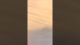 Texting Piper Rockwell