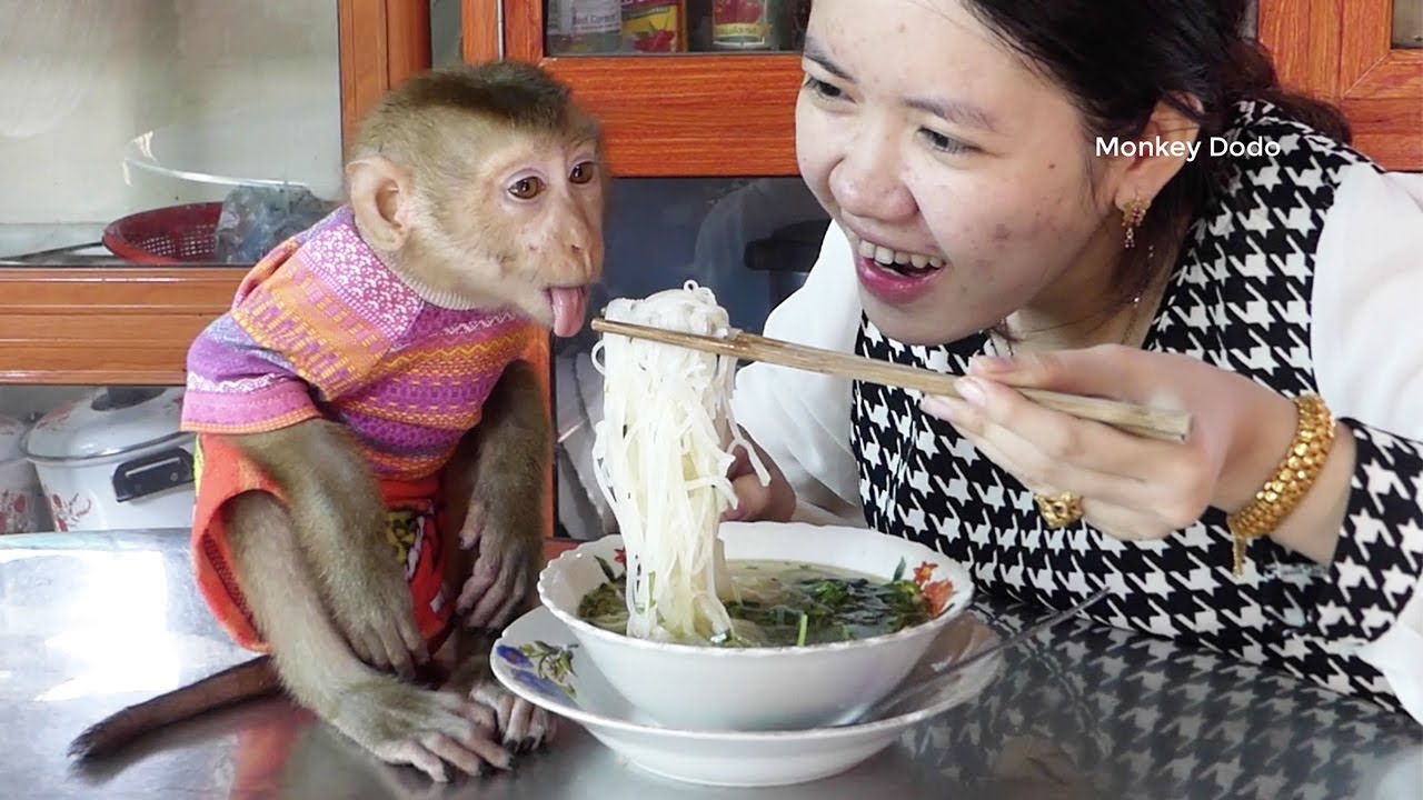 Most Funny Donal Talking & Shout Hungry To Request Mom To EatWait Noodle