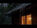 🔴 LIVE Heavy Rain in the Forest | Relaxing Nature Sounds
