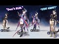 Hysilens scares Cipher when added TOGETHER | Honkai Star Rail