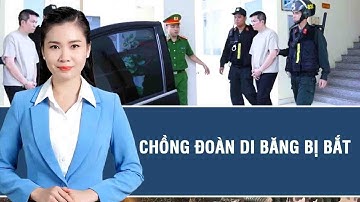Nguyễn Quốc Vũ, chồng Đoàn Di Băng, cùng 2 người khác bị bắt