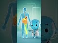 What Happens If You Drink 3-4 Liters of Water Daily for 1Month?| #shorts #drinkwater