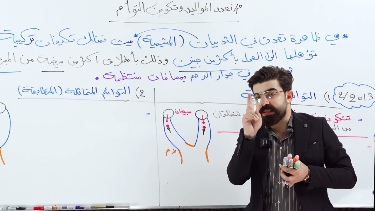 الفصل الرابع || التكوين الجنيني || المحاضرة السابعة ( تعدد المواليد و تكوين التوأم ) #يوسف_حاتم