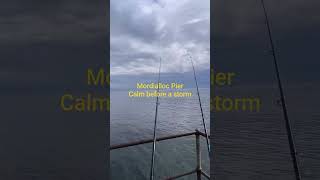 Mordialloc Pier Fishing