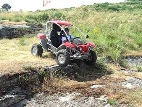 buggy renli 250cc