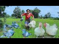 Woman with monkey helped pigeon and chicken for cook at bamboo hut  eating delicious