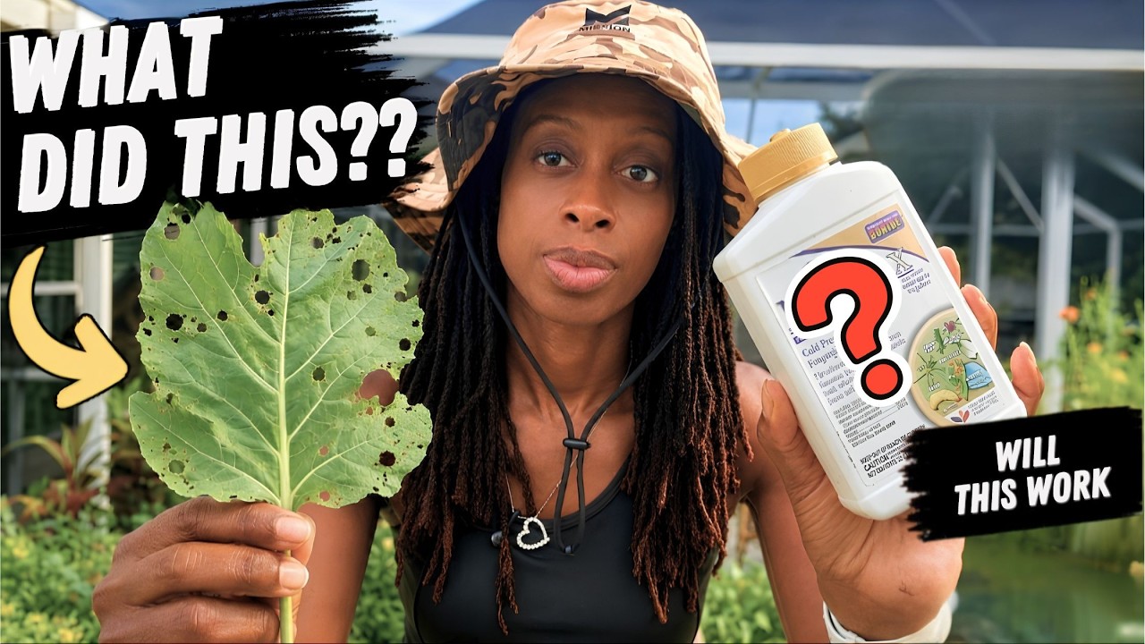 What's Eating My Plants? And How I Stopped It