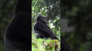 #Explore Uganda.. with Aiato Logistics.