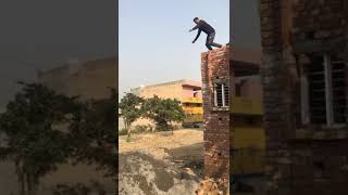 Jump from 1st floor and land safely Net Worth