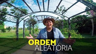 Sertanejo: do raiz ao feminejo