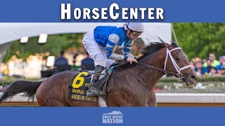 Belmont Stakes 2023 Festival’s top contenders on HorseCenter