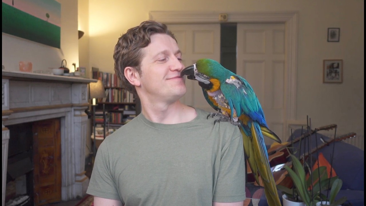 Голос души — Ежедневно в Zoom, 2–20 марта 2026 года