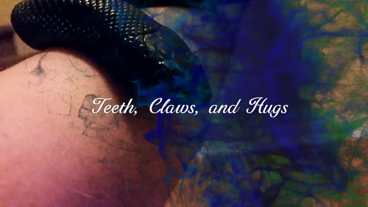 lizard skin grips Black Kingsnake Enjoys the Outdoors