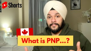 What is PNP?