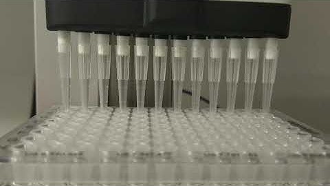 Hudson SOLO 12 channel pipet 96 to 384 well microplate transfer