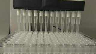 Hudson SOLO 12 channel pipet 96 to 384 well microplate transfer