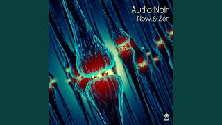 Vesna (Audio Noir Zen Mix) (feat. Audio Noir) - Alexey Lisin and Ange, Ange