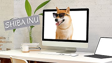 How to Mine SHIBA INU: A Step-by-Step Tutorial for Beginners