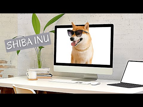 How to Mine SHIBA INU: A Step-by-Step Tutorial for Beginners