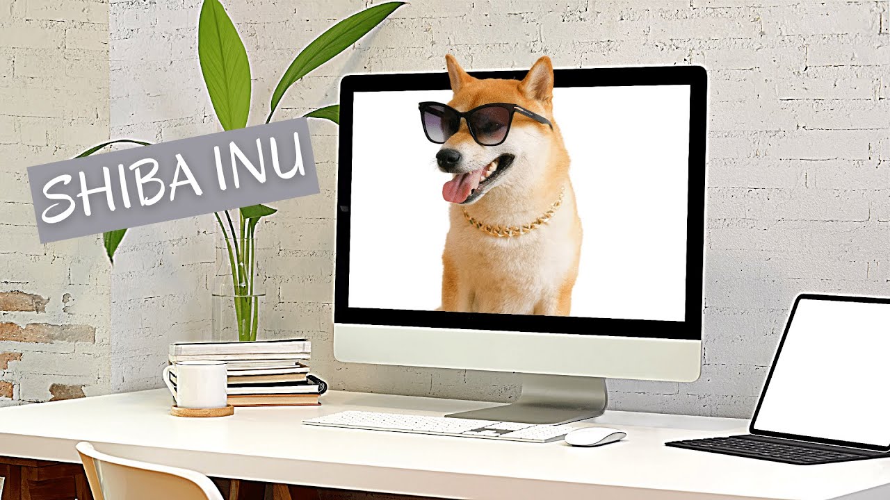 How to Mine SHIBA INU: A Step-by-Step Tutorial for Beginners