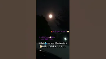 ストロベリームーン Superfly 輝く月のように 美しい 神秘的 夜空 ショート 無言ねこ 