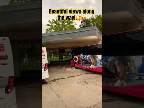 What Dragon Tiger Is REALLY About #shorts #casino #baccarat