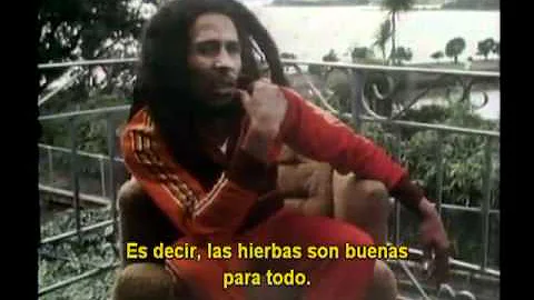 Che droghe usava Bob Marley?