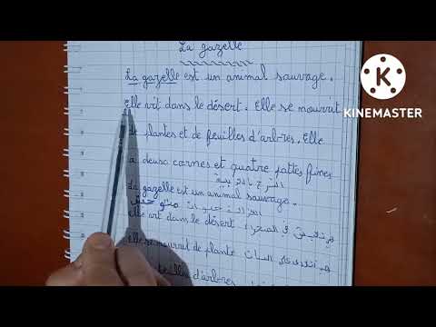 وضعية ادماجية عن الغزالة السنة الخامسة ابتدائي بالفرنسية