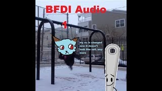 Bfdi Audio Testing