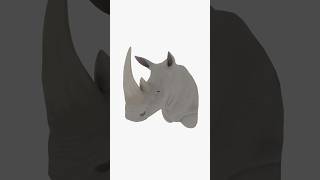White Rhino Trophy Part 1 Modeling