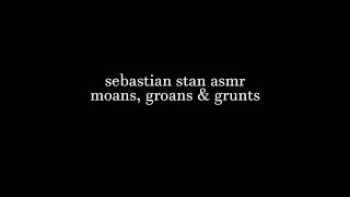 sebastian stan asmr (moans, groans and grunts)