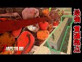 【7 Days to Die】ただの直線なんだけど電気トラップなしで効率的に倒す拠点が強すぎた 『7 Days to Die 1.0』実況プレイ #10【編集動画】【7デイズトゥダイ】
