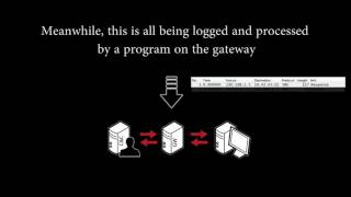 P1-project: Botnet detection on a company network