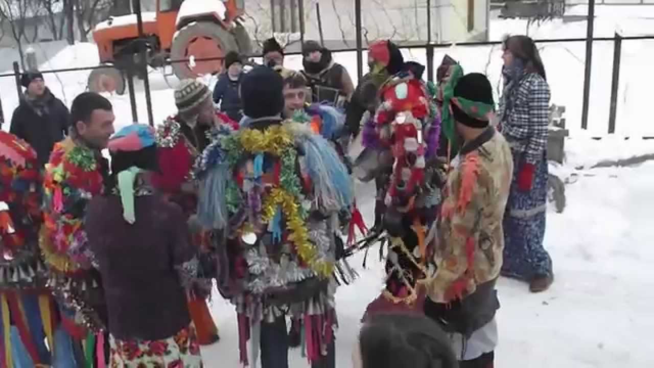 Capra din Turluianu 2014-2015