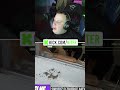 NITRO O ZACHOWANIU PARAMAXILA NA MIESCIE2