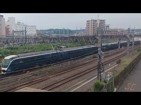E261系RS-01編成　特急サフィール踊り子2号　東京行き　