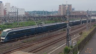 E261系RS-01編成 特急サフィール踊り子2号 東京行き