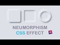 How To Create Neumorphism Effect With CSS | HTML CSS Effects | Elementor | Web Cifar 2020