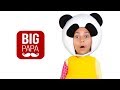 Big Papa Studio Что случилось с Пандо Енотом Приколы Смешное видео Маша и Медведи